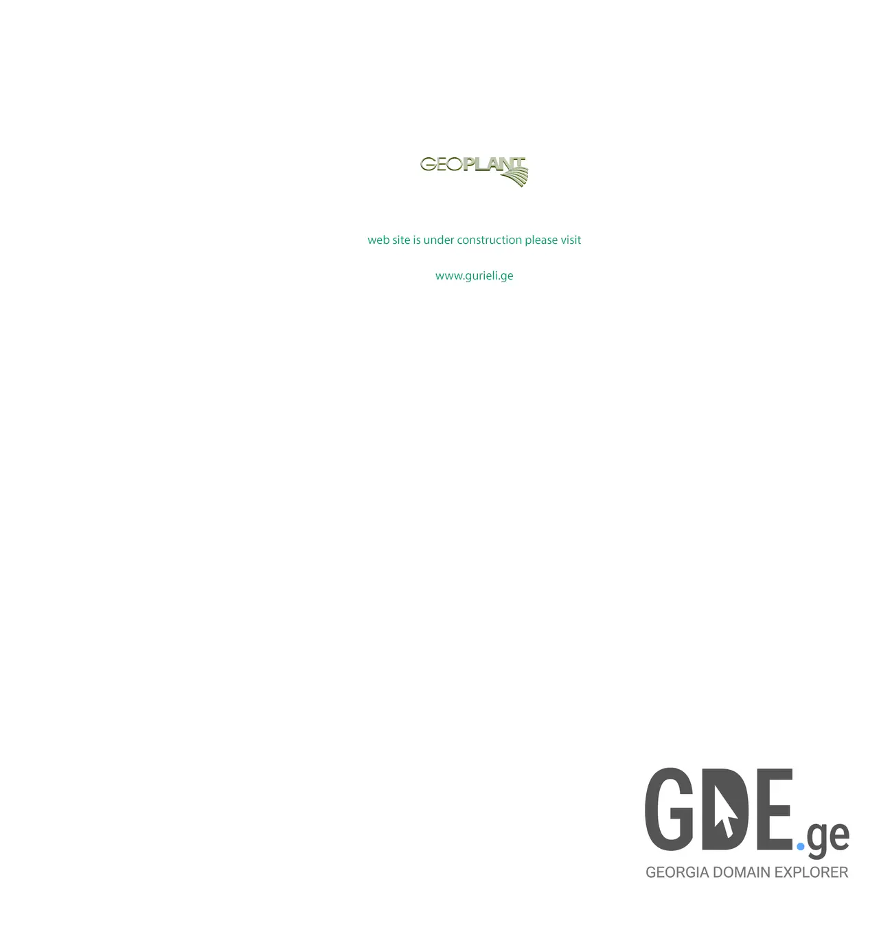 Screenshot of the site gurieli.com.ge at 2025-11-29