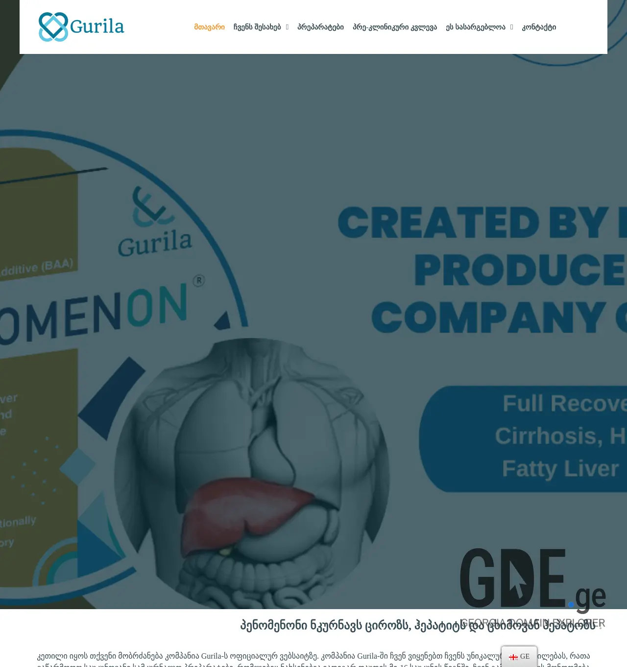 Screenshot of the site gurila.ge at 2025-11-30