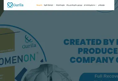 Screenshot of gurila.ge