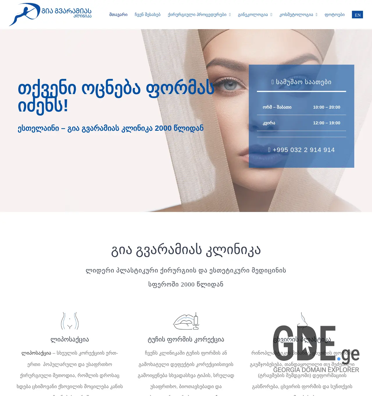 Screenshot of the site gvaramia.ge at 2025-11-30