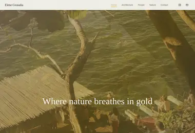 Screenshot of gvasalia.ge