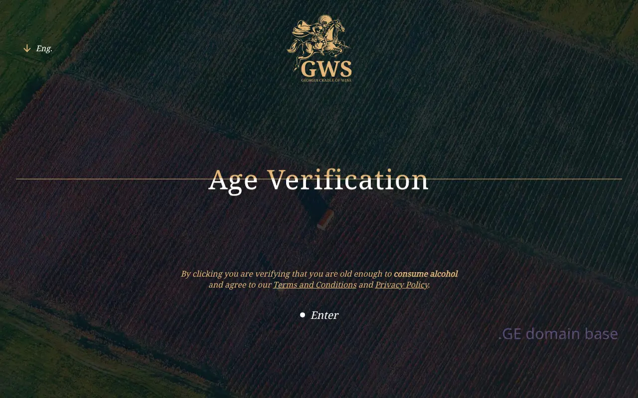 Screenshot of the site gws.ge