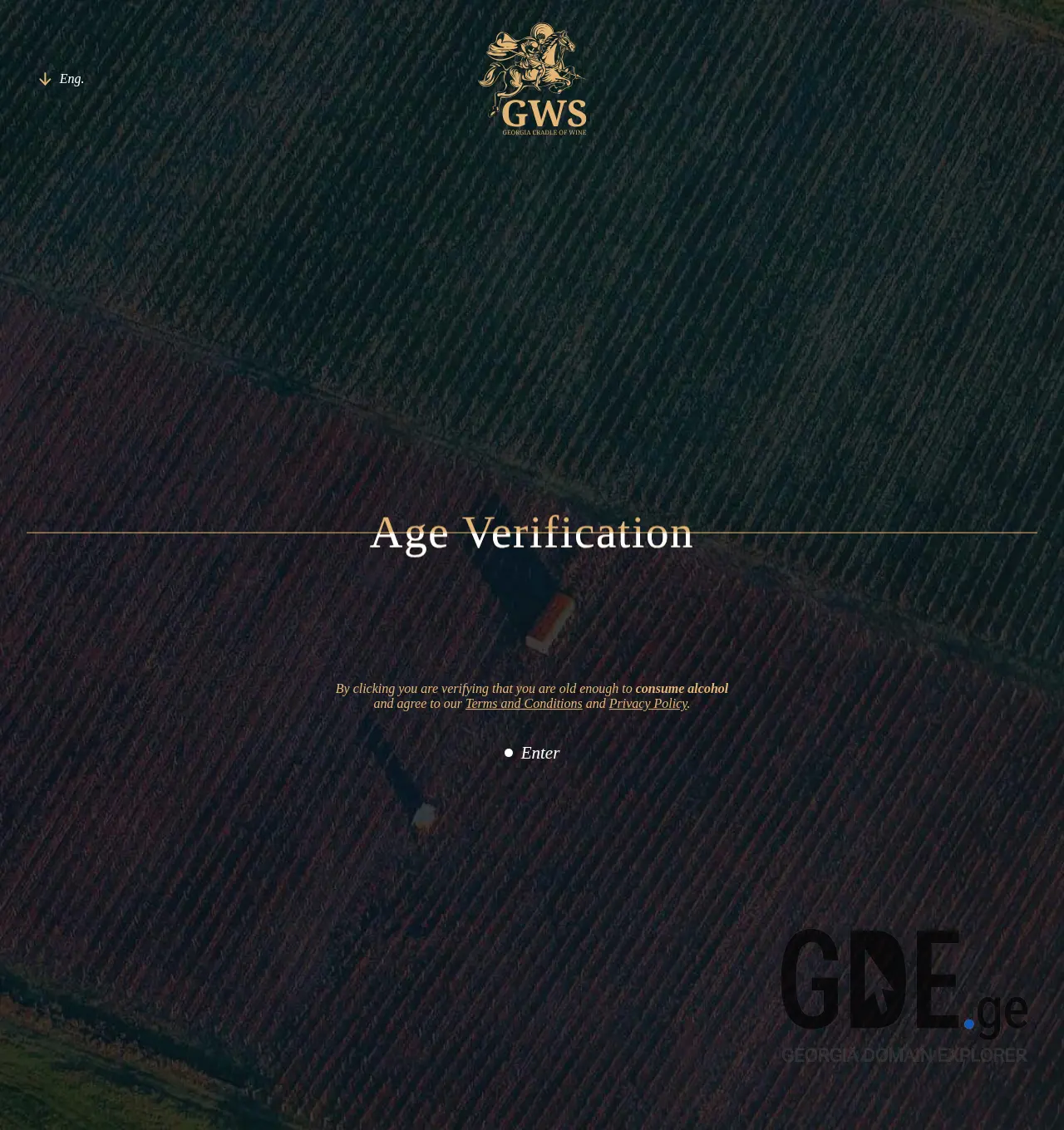 Screenshot of the site gws.ge at 2025-11-29