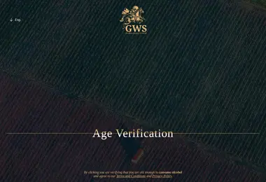 gws.ge-ის ეკრანის სურათი