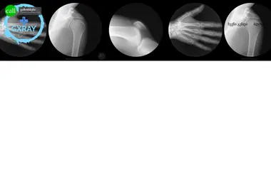 Preview from 09.12.2025