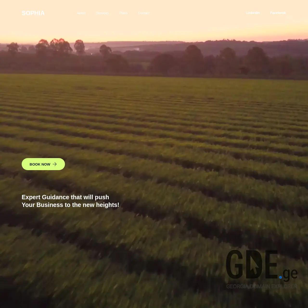 Screenshot of the site gyc.ge at 2026-02-07