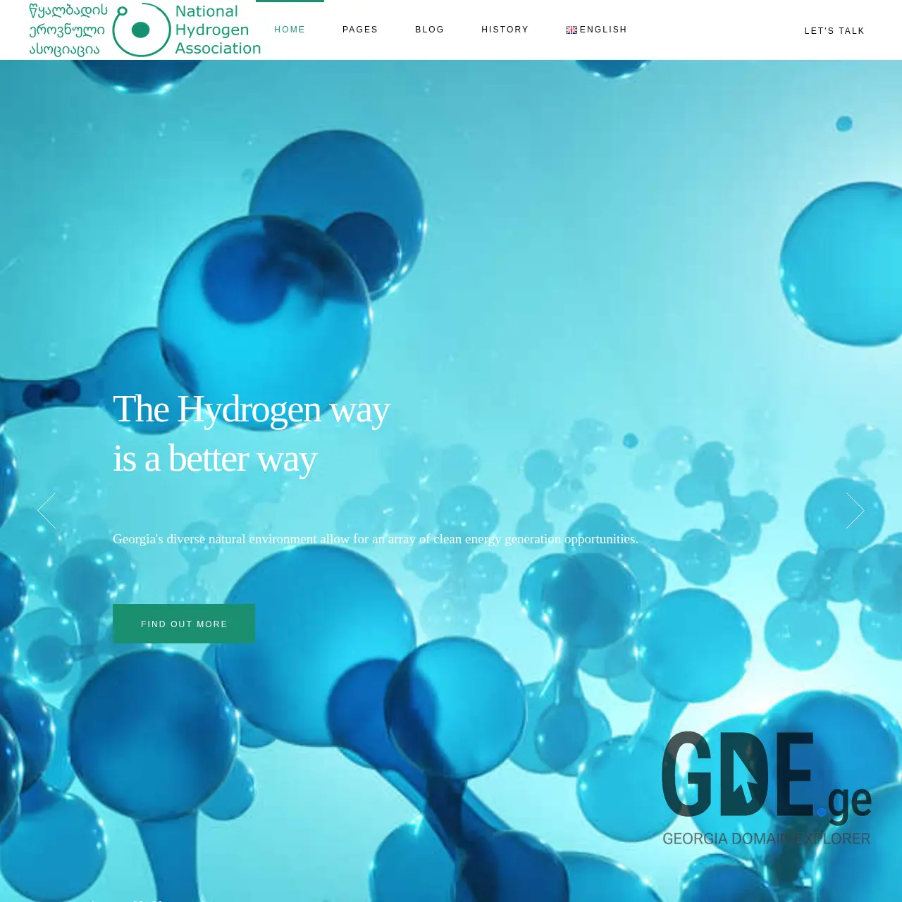 Screenshot of the site h2association.ge at 2025-12-10