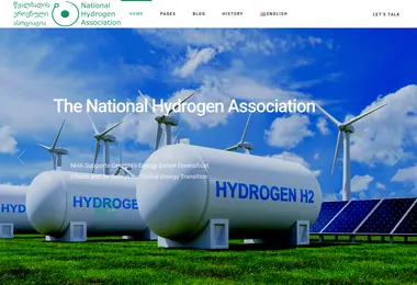 Скриншот h2association.ge