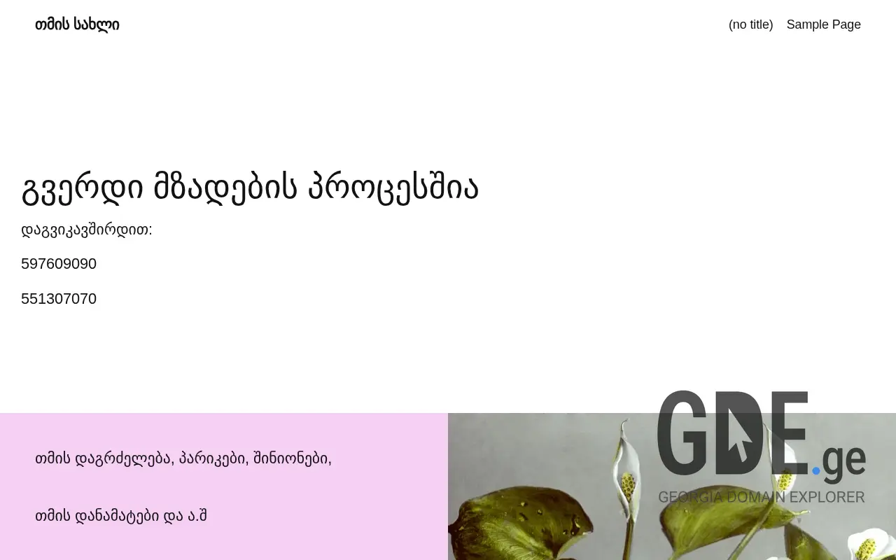 Screenshot of the site hairhouse.ge at 2025-11-28