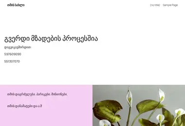 Screenshot of hairhouse.ge