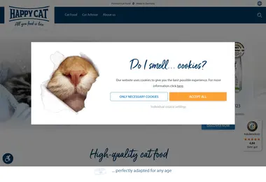 Screenshot of happycat.ge