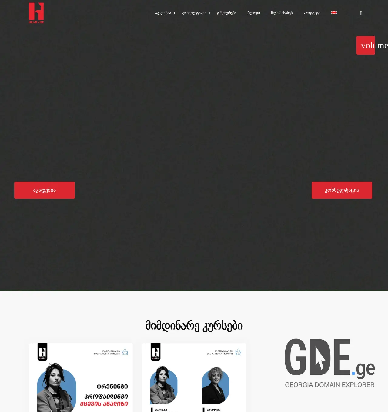 Screenshot of the site headvice.ge at 2025-12-02