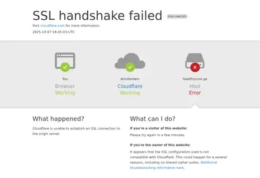 Screenshot of healthycore.ge