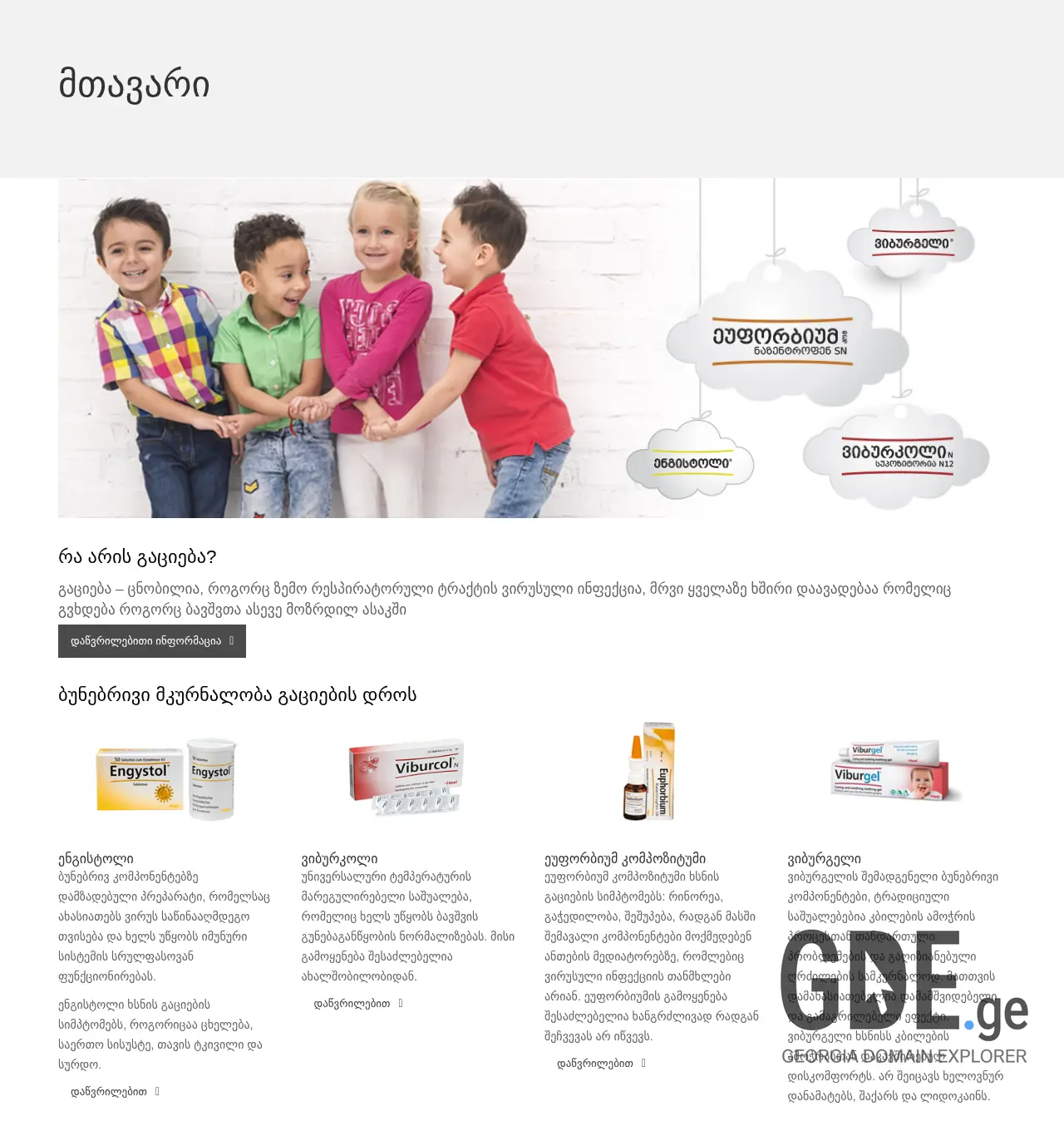 Screenshot of the site heel-kids.ge at 2025-11-30