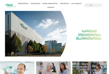 Скриншот heel.ge