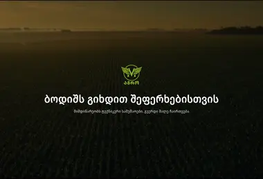 Screenshot of hektas.ge