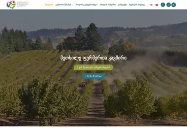 hfu.ge-ის ეკრანის სურათი