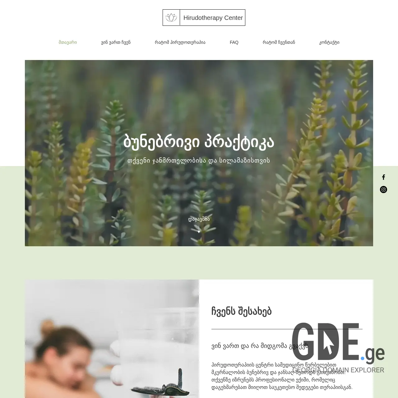 Screenshot of the site hirudotherapycenter.ge at 2025-12-10