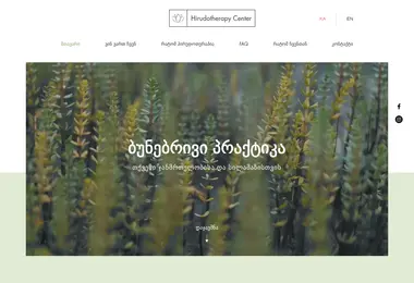 Screenshot of hirudotherapycenter.ge