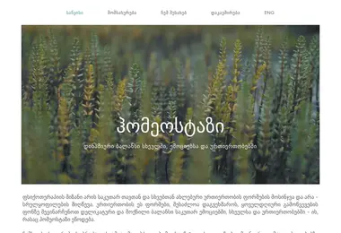 Screenshot of homeostasis.ge