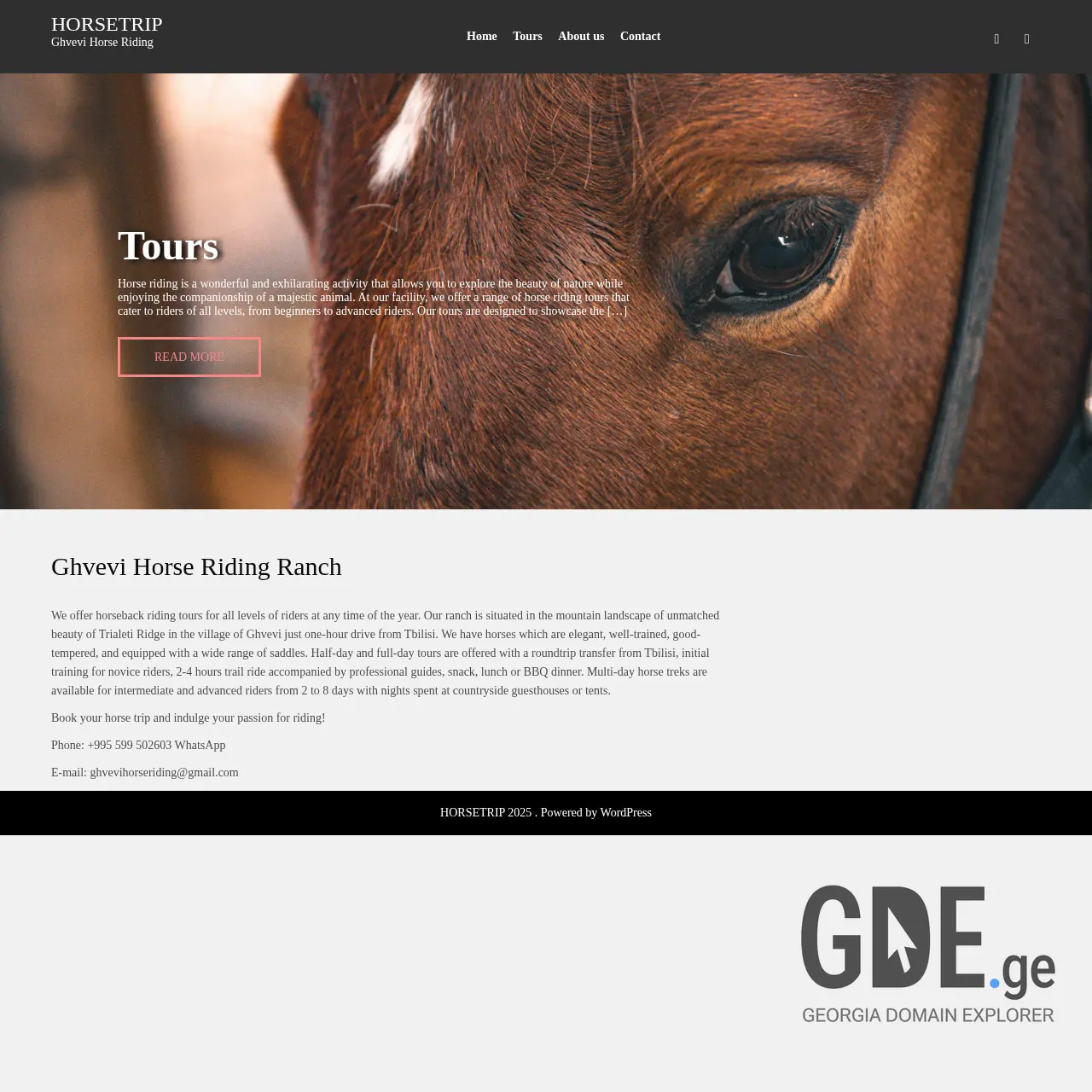 Screenshot of the site horseridingtbilisi.ge at 2025-12-09