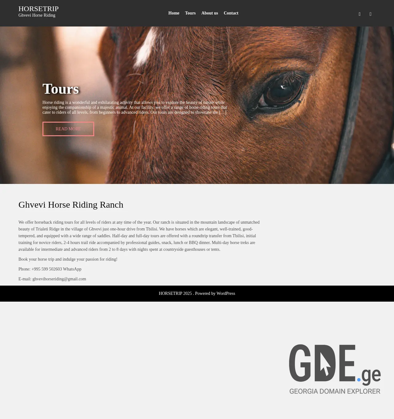 Screenshot of the site horsetrip.ge at 2025-11-30