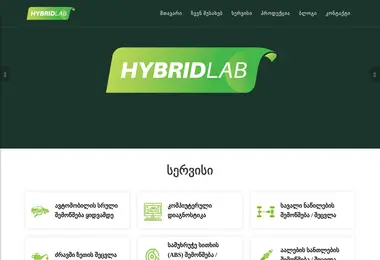 Screenshot of hybridlab.ge