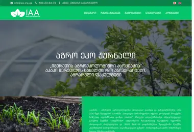 Скриншот iaa.org.ge