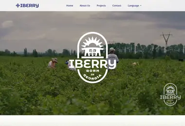 Screenshot of iberry.ge