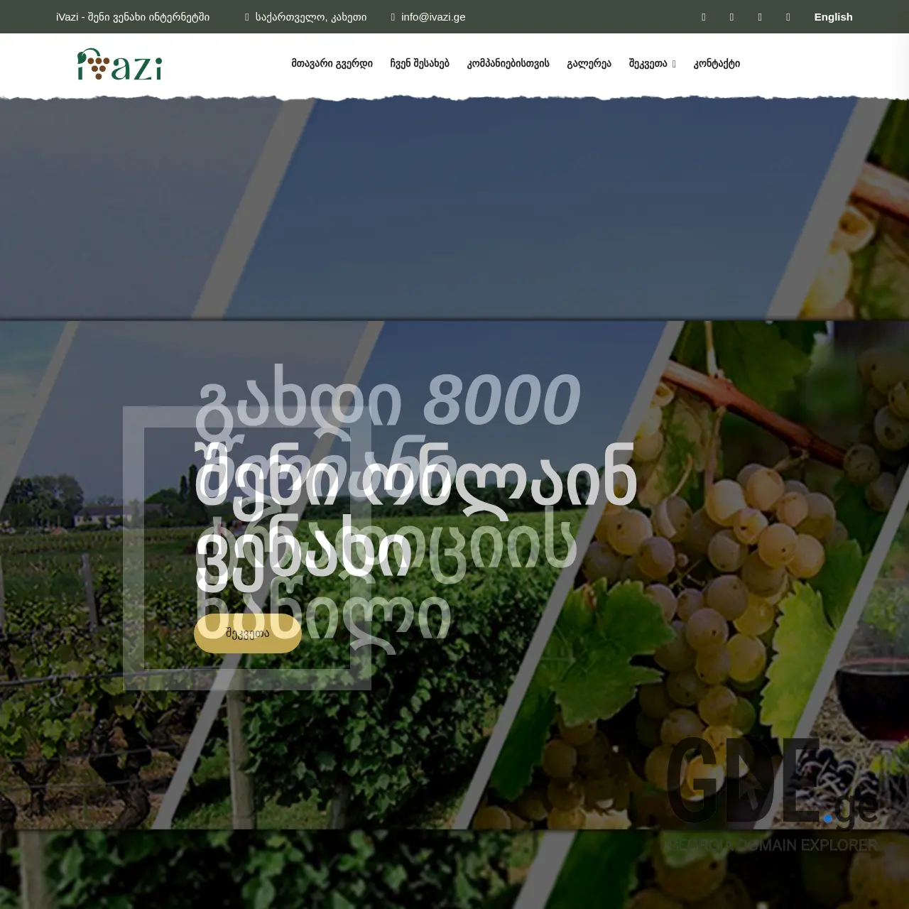 Screenshot of the site ibostani.ge at 2025-12-09