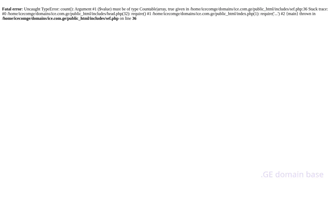 Screenshot of the site ice.com.ge