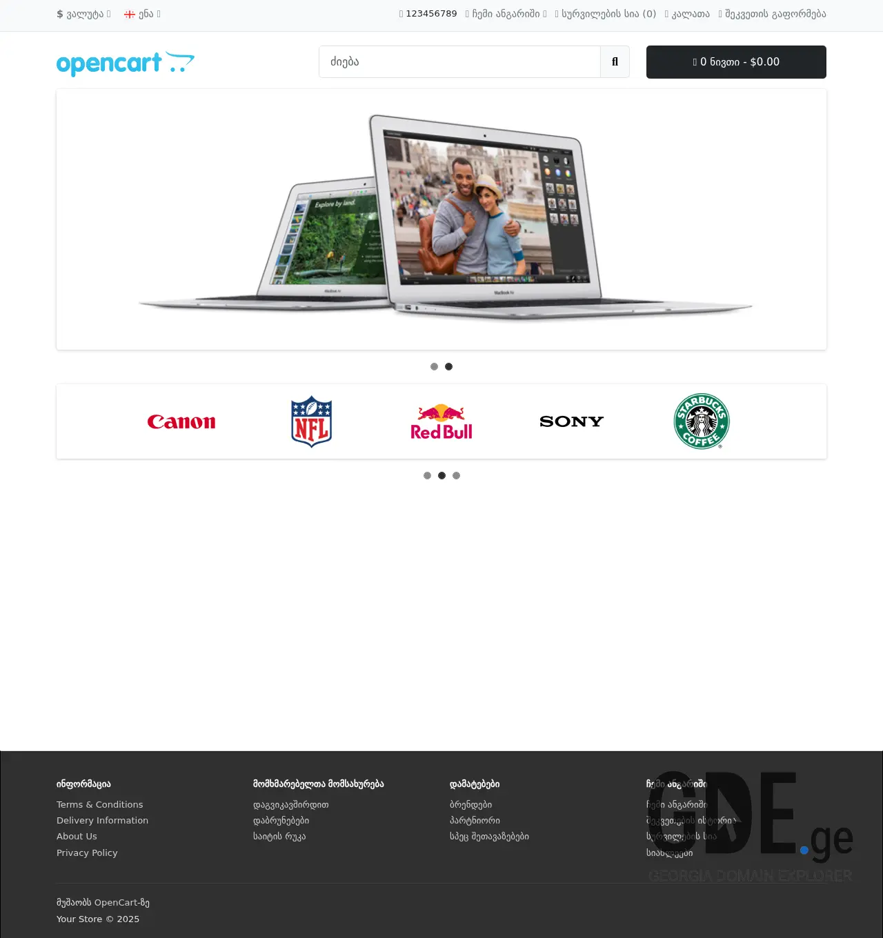 Screenshot of the site iceberg.ge at 2025-11-29