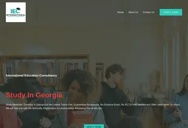 Скриншот iec.ge