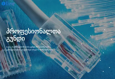 Скриншот iline.ge