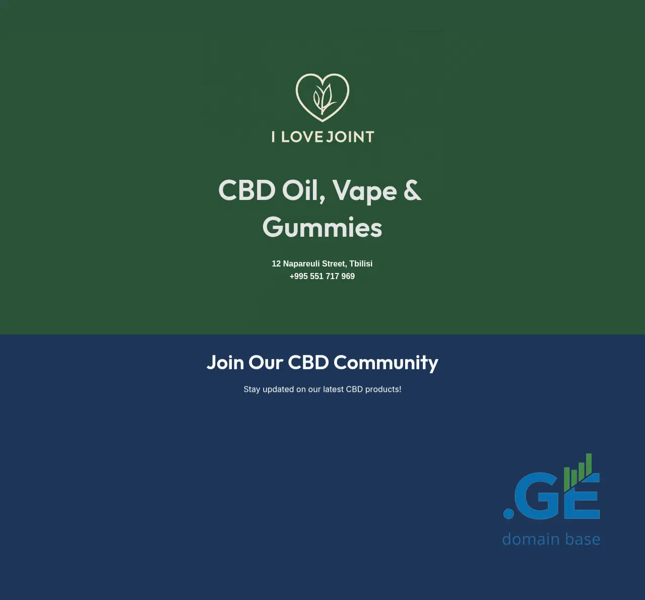 Screenshot of the site ilovejoint.ge