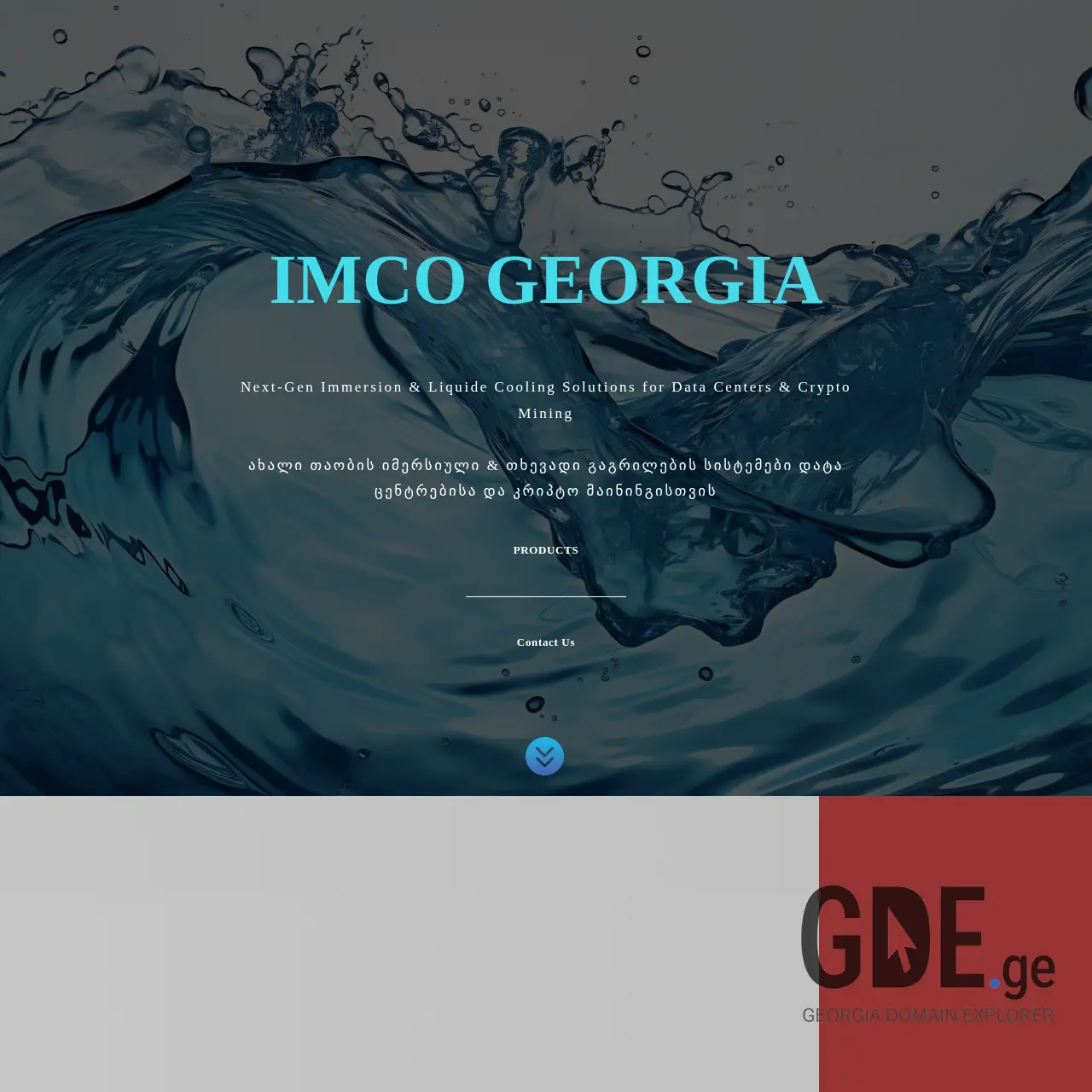 Screenshot of the site imco.ge at 2025-12-10