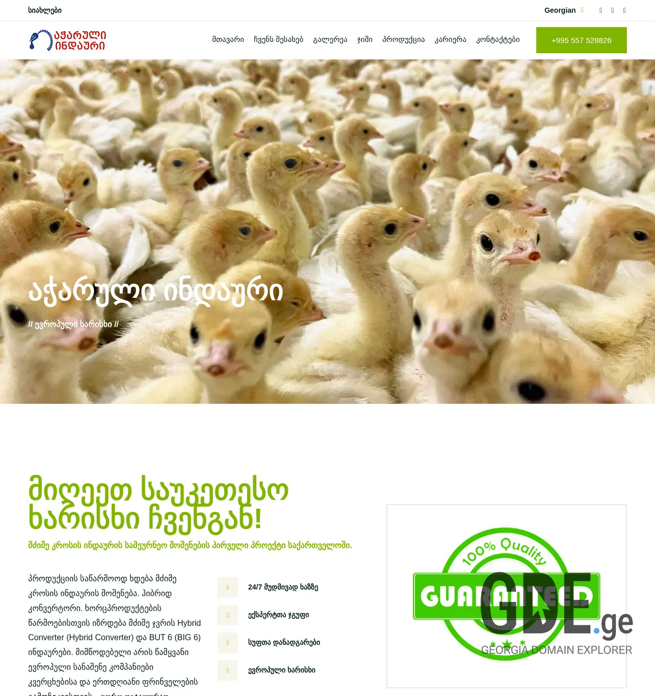 Screenshot of the site indauri.ge at 2025-11-30