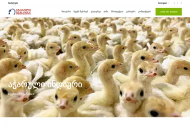 Screenshot of indauri.ge