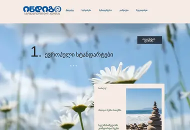 Screenshot of indigo.ge