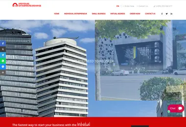 Screenshot of individualentrepreneurship.ge