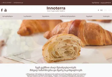 Скриншот innoterra.ge