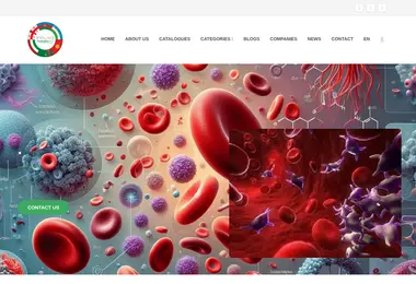 სურათი 10.12.2025-დან