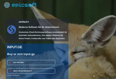 Screenshot of input.ge