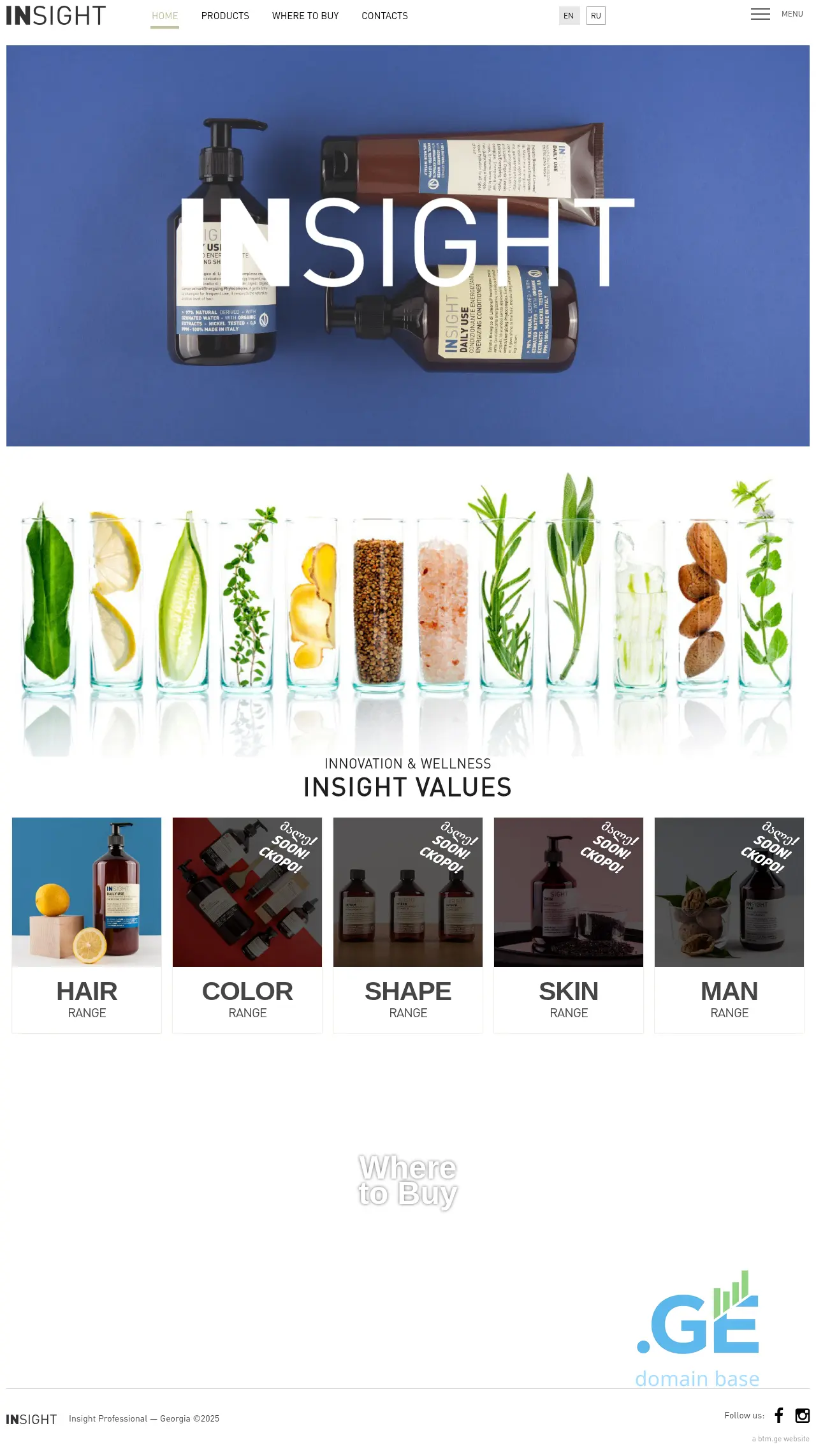 Screenshot of the site insightprofessional.ge