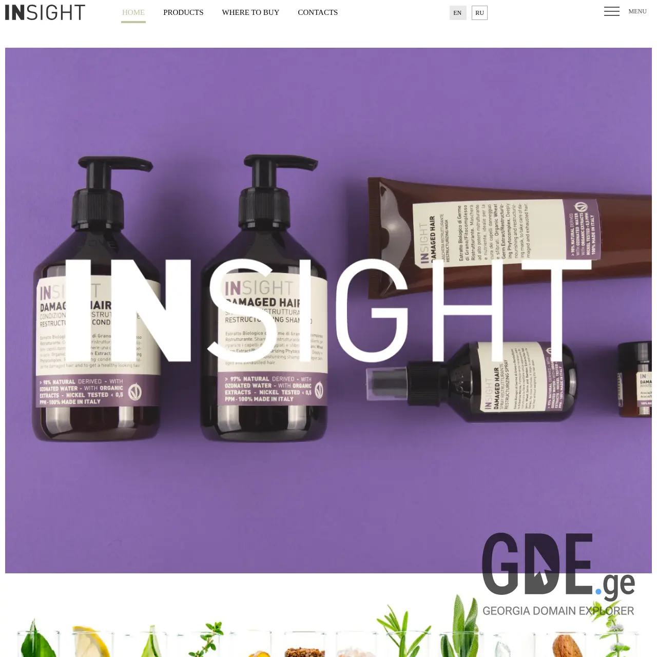 Screenshot of the site insightprofessional.ge at 2025-12-10