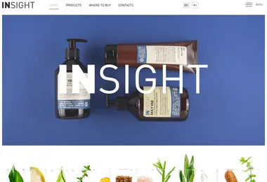 Скриншот insightprofessional.ge