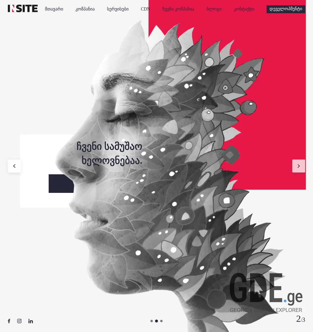 Screenshot of the site insite.ge at 2025-11-30