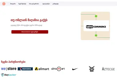 Screenshot of installments.ge