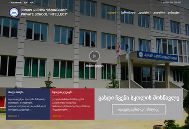 Screenshot of intelecti.edu.ge