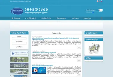 Screenshot of intellect.org.ge